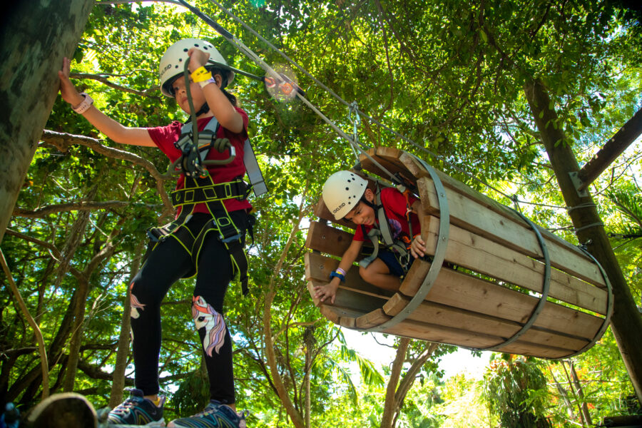 Activities at Treetop Trekking in Miami